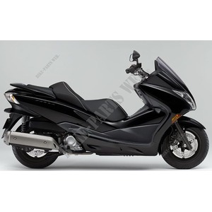 250 FORZA 2012 NSS250DB