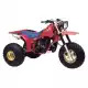 250 ATC 1984 ATC250RE