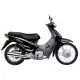 100 BIZ 2005 BC1004