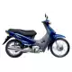 100 BIZ 2005 BC1004