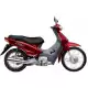 100 BIZ 2005 BC1004