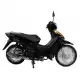 100 BIZ 2013 BC100D