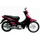 100 BIZ 2005 BC1055