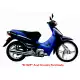 100 BIZ 2005 C100_BIZ+5