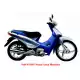 100 BIZ 2005 C100_BIZ+5
