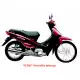 100 BIZ 2005 C100_BIZ5
