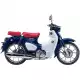 125 CUB 2023 C125AP