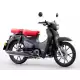125 CUB 2024 C125AR