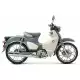 125 CUB 2024 C125AR_A