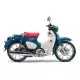 125 CUB 2024 C125AR_J