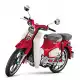 125 CUB 2023 C125N