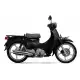 125 CUB 2024 C125R