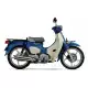 125 CUB 2024 C125R
