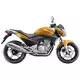 300 CB 2009 CB300RAA