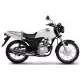 150 CG 2020 CG150C_20