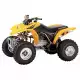 250 FOURTRAX 2005 TRX250EX5