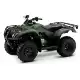 250 FOURTRAX 2019 TRX250TE1K
