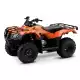 250 FOURTRAX 2022 TRX250TE1N