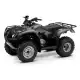 250 FOURTRAX 2009 TRX250TE9