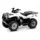250 FOURTRAX 2009 TRX250TE9