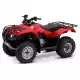 250 FOURTRAX 2009 TRX250TE9