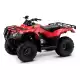 250 FOURTRAX 2022 TRX250TM1N