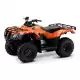 250 FOURTRAX 2022 TRX250TM1N