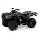 250 FOURTRAX 2022 TRX250TM1N