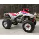 250 FOURTRAX 1990 TRX250XJ