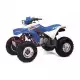 250 FOURTRAX 1991 TRX250XM