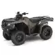 420 FOURTRAX 2022 TRX420FA2N