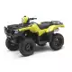 500 FOURTRAX 2017 TRX500FM6H