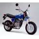 100 APE 2006 XZ1006