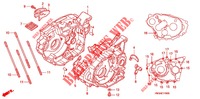 CARTER MOTEUR pour Honda SPORTRAX 300 EX standard 2001