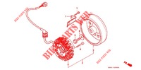ALTERNATEUR pour Honda CB 250 JADE With speed warning light 1993