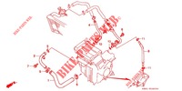 DURITE DE REFROIDISSEMENT pour Honda CB 250 JADE With speed warning light 1993