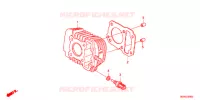 CYLINDRE pour Honda SUPER CUB 50 SPECIAL 60 TH 2019