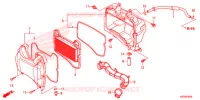 FILTRE A AIR pour Honda SUPER CUB 125 ABS 2019