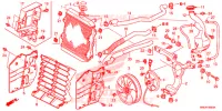 RADIATEUR pour Honda FOURTRAX 520 RUBICON 4X4 EPS CAMO 2020