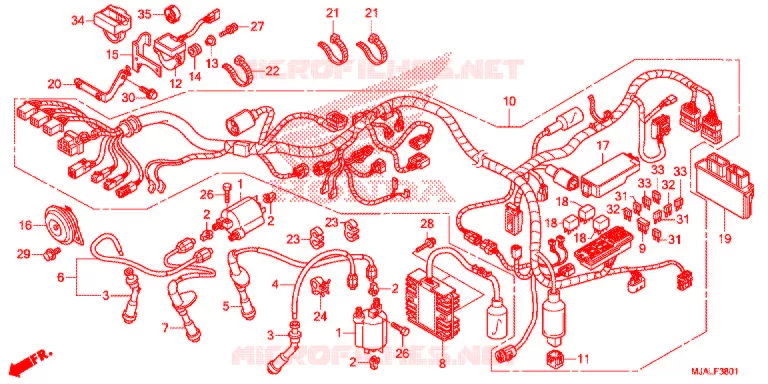 FAISCEAU DES FILS (VT750CS) Honda MOTO 750 SHADOW 2021  VT750CSL