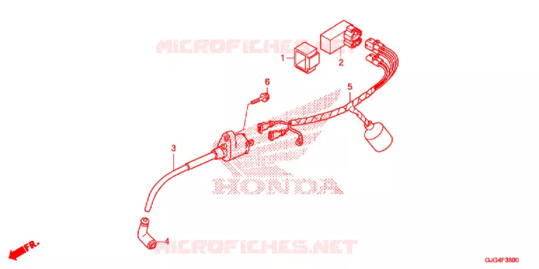 FAISCEAU DES FILS Honda MOTO 50 CRF 2021  CRF50FM