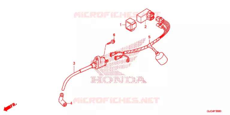 FAISCEAU DES FILS Honda MOTO 50 CRF 2021  CRF50FM