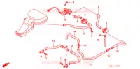 SOUPAPE D'ADMISSION pour Honda CBR 600 1997