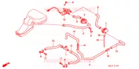 SOUPAPE D'ADMISSION pour Honda CBR 600 1998