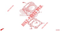 CYLINDRE pour Honda CB 300 R ABS 2022