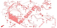 RADIATEUR pour Honda CBR 150 R 2023