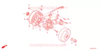 ALTERNATEUR pour Honda CRF 50 2022