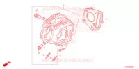 CULASSE pour Honda CRF 50 2022