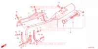 SILENCIEUX D'ECHAPPEMENT pour Honda CRF 50 2022