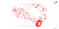 ALTERNATEUR pour Honda FORZA 350 2022